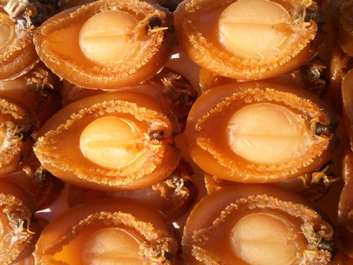 건전복(말린전복) 50g 100g 전복포 마른전복 전복살 전복안주