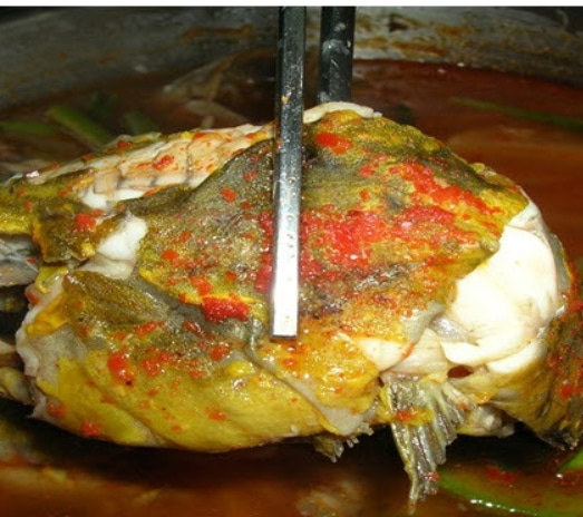 국산 빠가사리 동자개 500-1kg 민물고기 퉁가리 퉁사리 민물매운탕 - 상세 이미지 3