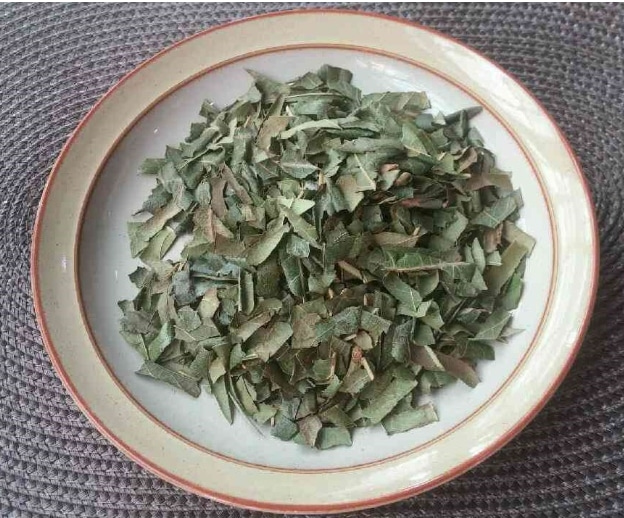 비파잎 비파생잎 1kg 비파뜸 찜용 스파용 목욕용 - 상세 이미지 2