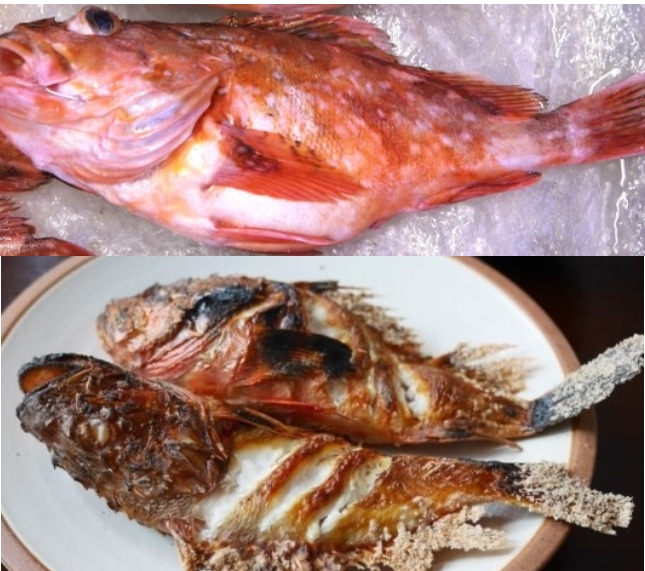쏨팽이 쏨뱅이 1kg(1-2마리) 열기어 불볼락 쏨뱅어(조업당일발송상품) - 상세 이미지 2