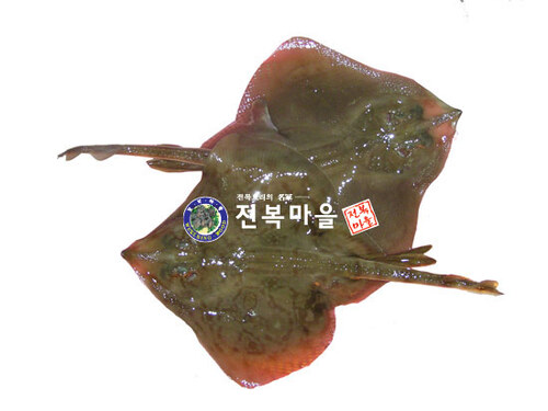 간재미 간자미 1kg 간제미 간재미회 간자미국수 간자미찜 - 메인 이미지