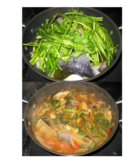 우럭1kg 1마리 생우럭 조피볼락 우럭매운탕 우럭찜 생선구이(조업당일발송상품) - 상세 이미지 2