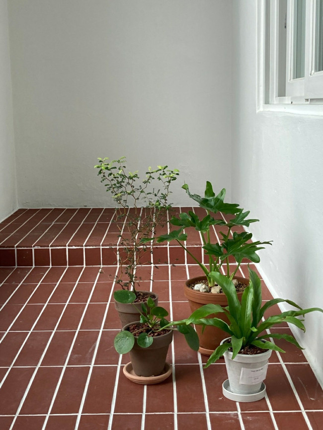 테라코타타일 200x100x12T 레드 외벽 바닥타일 겸용 / 하다건재 점토타일