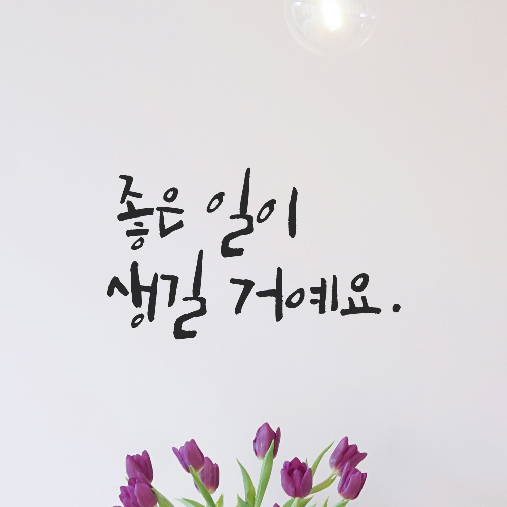 캘리그라피 레터링 스티커 좋은 일이 생길 거예요 LC-029S 검정 이미지 8