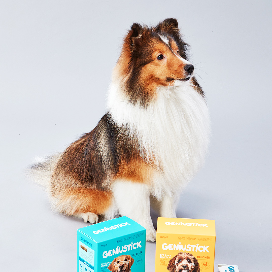 [미펫] 지니어스틱 치킨맛 240g, 1개 이미지 4