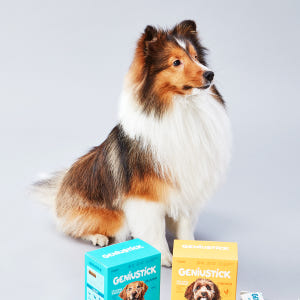 [미펫] 지니어스틱 치킨맛 240g, 1개 솔직 후기 | 실제 사용자 리뷰 총정리 - 상품 이미지 4