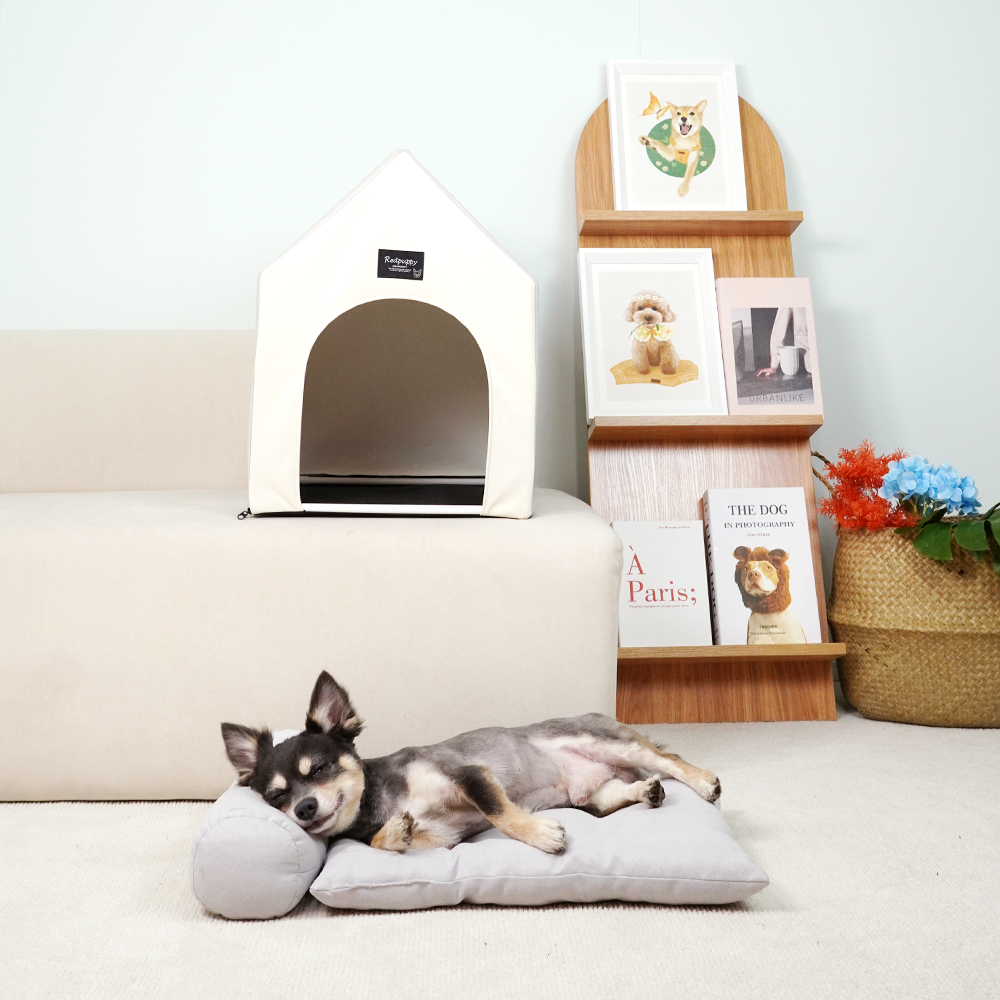개과천선 코니 강아지 삼각 하우스 가죽 방수 쿠션 하우스 동굴집 애견 숨숨집 고양이