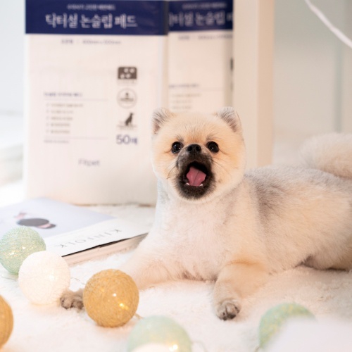 닥터설 미끄럼방지 논슬립 두꺼운 배변패드 강아지 고흡수 대형, 20매입, 1개