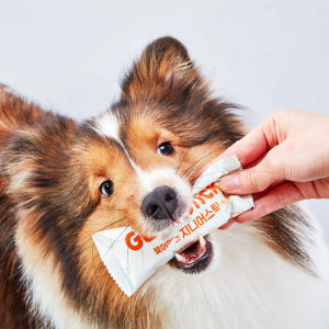 [미펫] 지니어스틱 치킨맛 240g, 1개 솔직 후기 | 실제 사용자 리뷰 총정리 - 상품 이미지 2