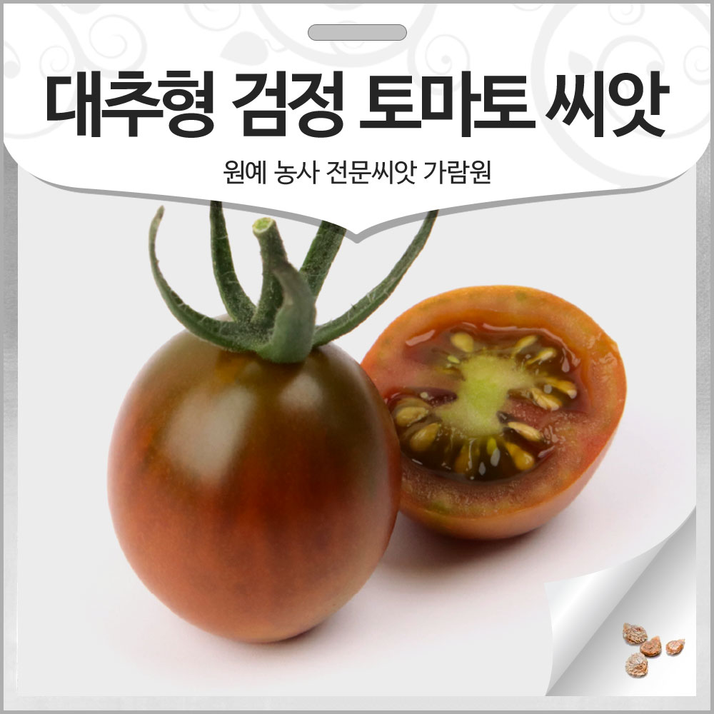 대추형 검정 토마토 씨앗 방울 토마토씨 종자 10알 : 가람원