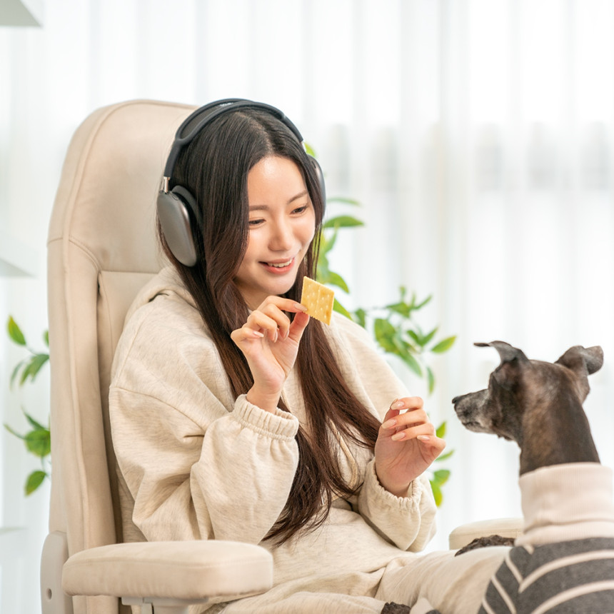 제닉스 제로드 소프체어 컴퓨터 게이밍의자 사진 4