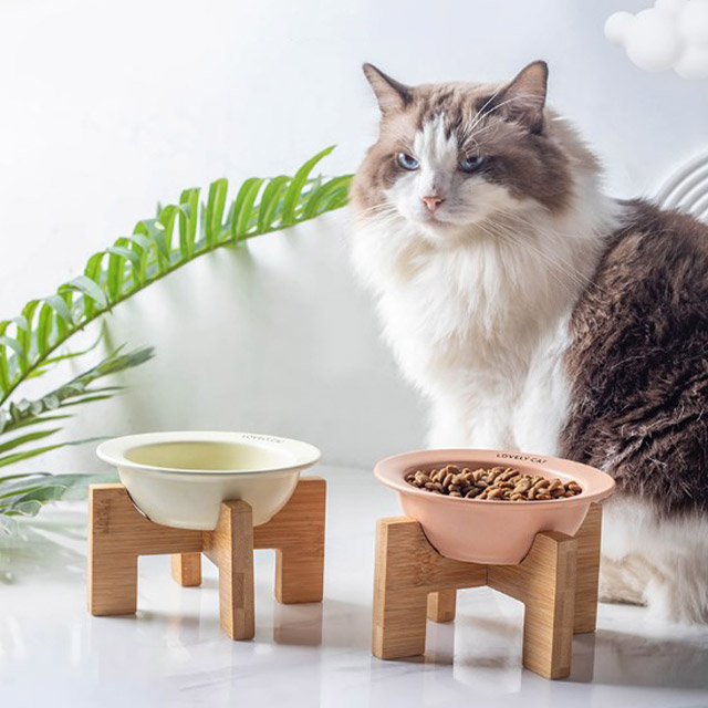 포포가든 반려동물 고양이 그릇 애묘 이지컬러 세라믹 옐로우 (그레이/아이보리) 이미지 7