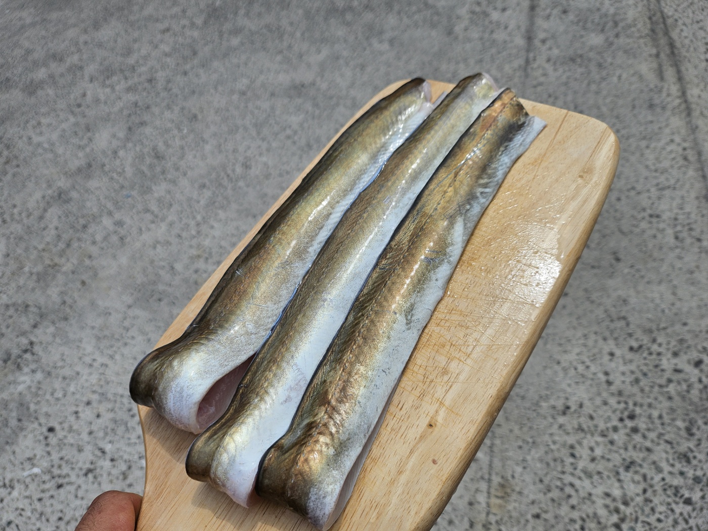 (산지직송) 통영 자연산 하모(갯장어)샤브샤브용 횟감용 - 상세 이미지 2