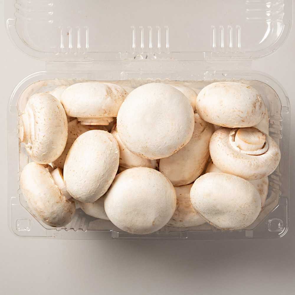 버섯 양송이버섯 500g
