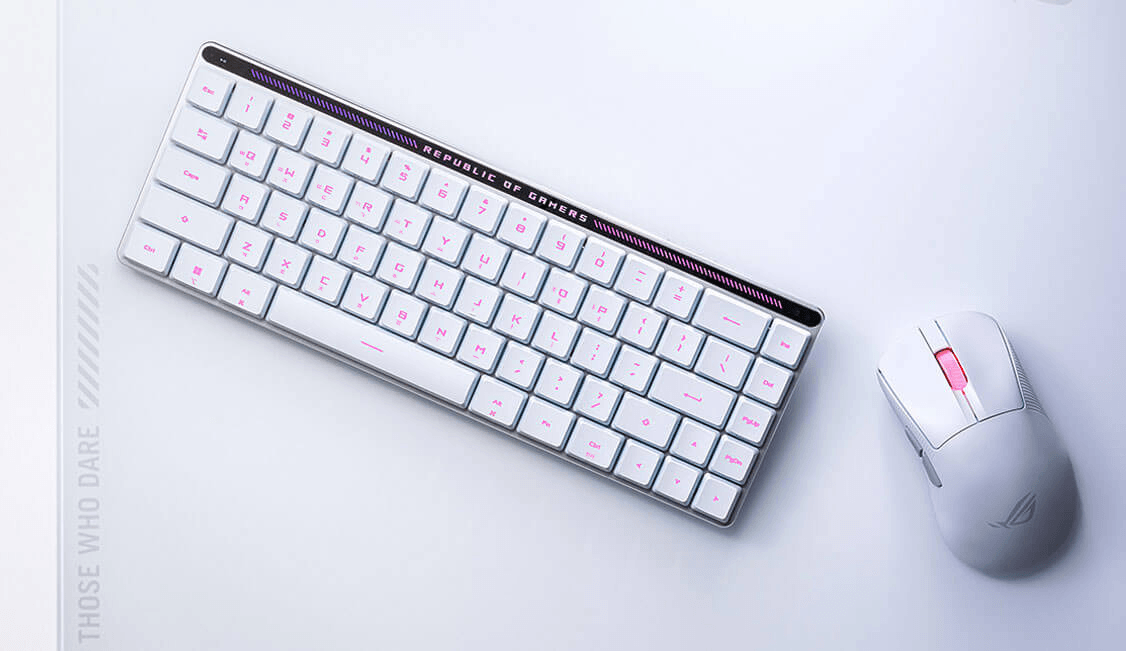 ROG FALCHION RX Low Profile 옵티컬 스위치 화이트, 한글 청축 - 상세 이미지 2