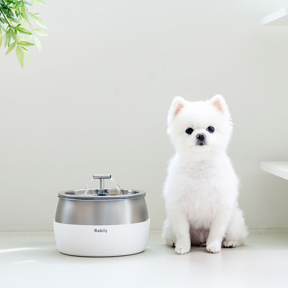 라빌리 강아지 고양이 애견 스테인리스 스마트 자동급수기 정수기 3L