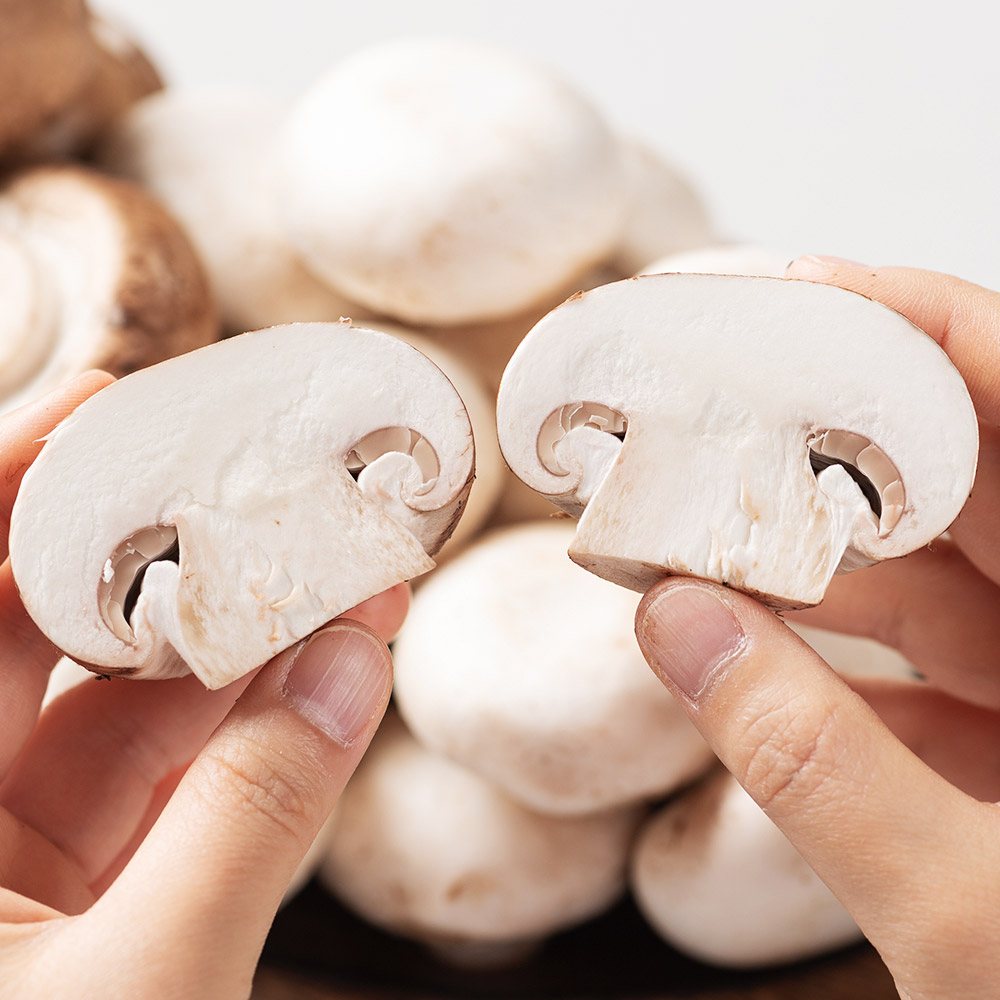 버섯 양송이버섯 500g - 상세 이미지 5