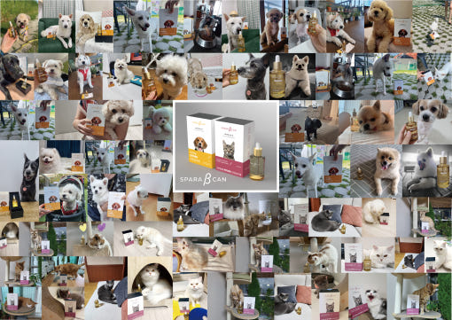 thumbnail-7