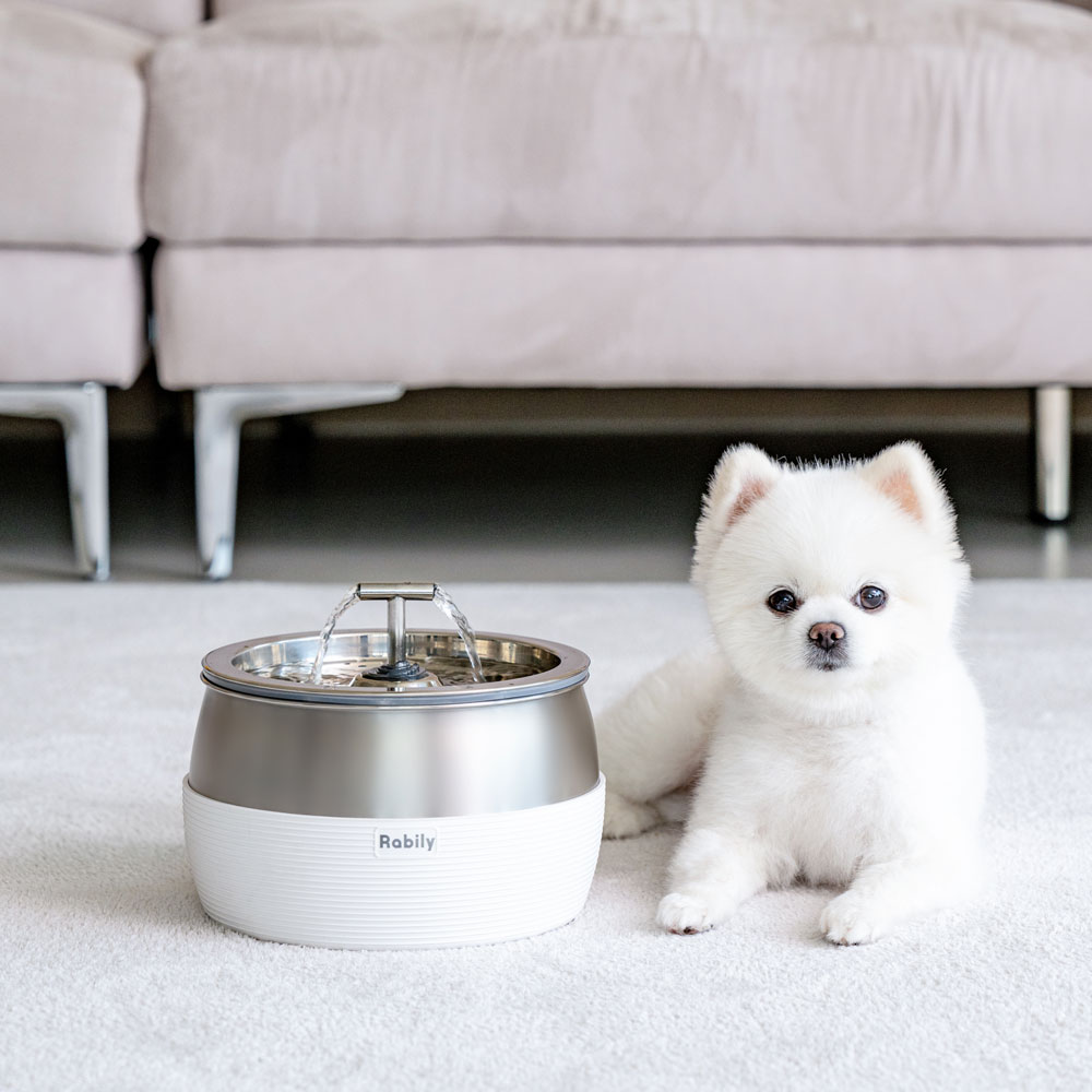 라빌리 강아지 고양이 애견 스테인리스 스마트 자동급수기 정수기 3L