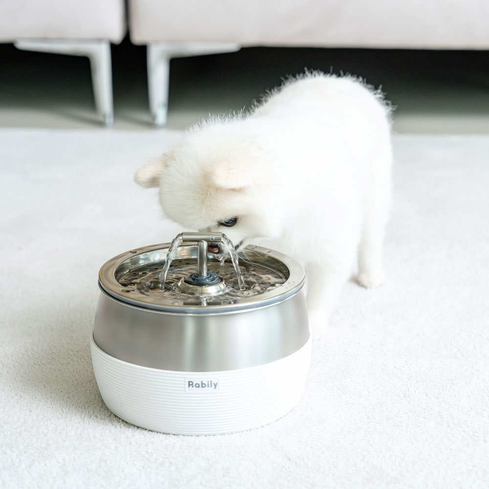 라빌리 강아지 고양이 애견 스테인리스 스마트 자동급수기 정수기 3L
