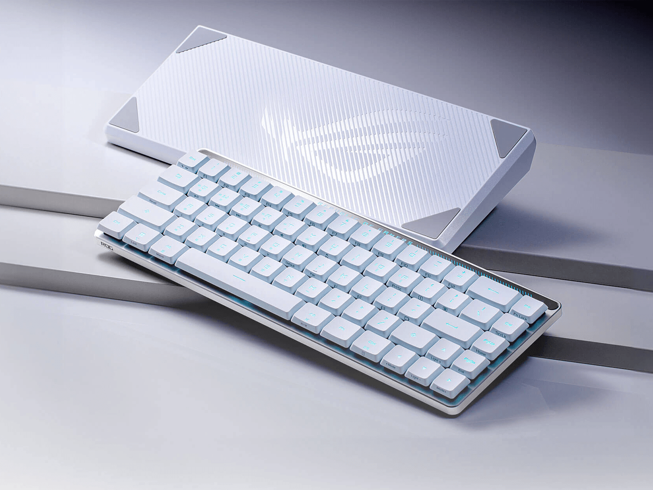 ROG FALCHION RX Low Profile 옵티컬 스위치 화이트, 한글 적축