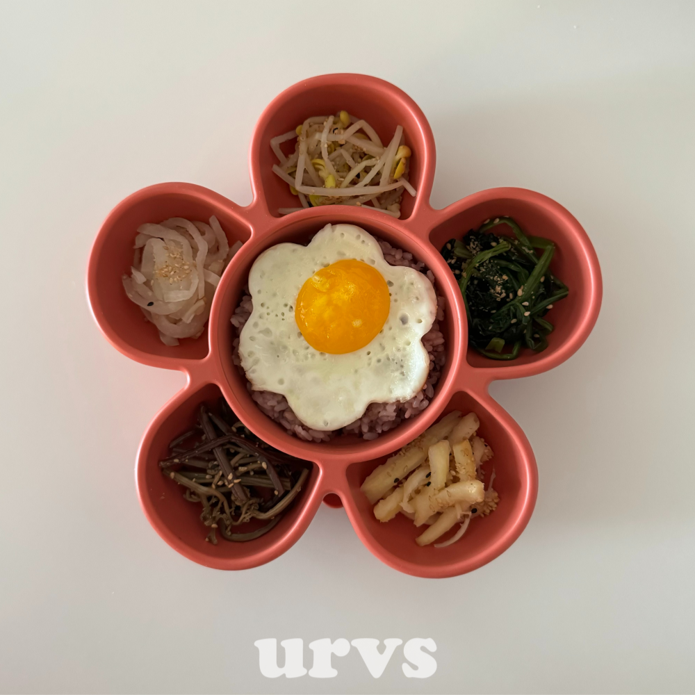 urvs 꽃흡착식판 실리콘 플로럴트레이 뚜껑세트