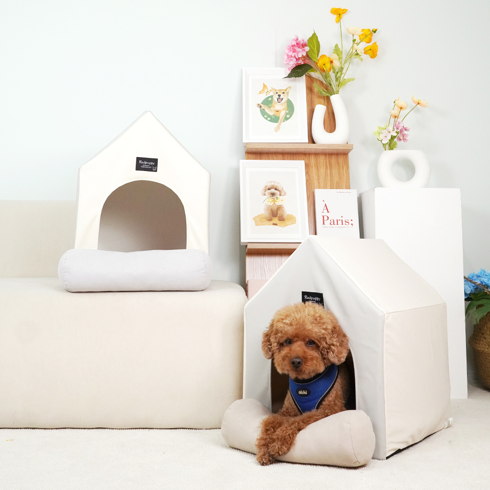 개과천선 코니 강아지 삼각 하우스 가죽 방수 쿠션 하우스 동굴집 애견 숨숨집 고양이