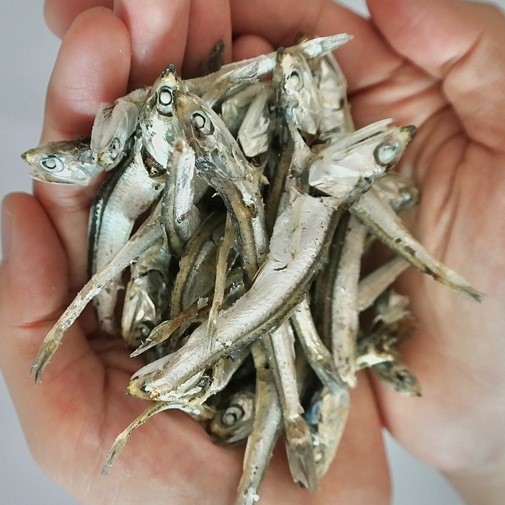 남해 청정해역 육수용 다시멸치 1.5kg 가이리 지리 고바멸치 국멸치 잔멸치 - 상세 이미지 2