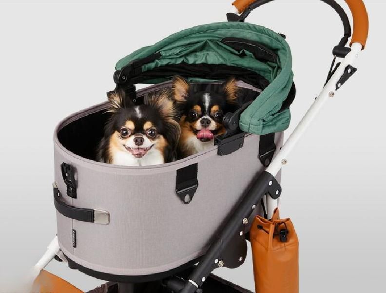 에어버기 돔3 블러썸 레귤러 대형견 중형견 강아지 고양이 접이식 브레이크 모델 개모차