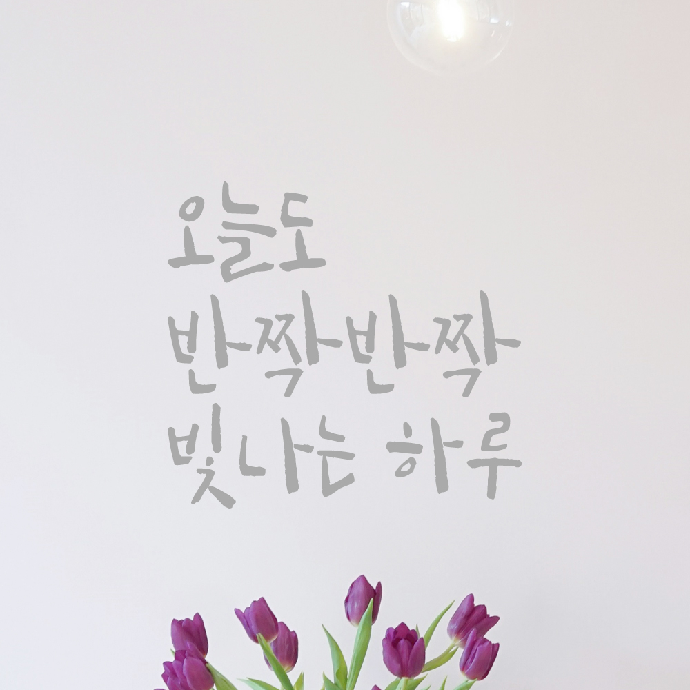 캘리그라피 레터링 스티커 오늘도 반짝반짝 빛나는 하루 검정 S - 상세 이미지 3