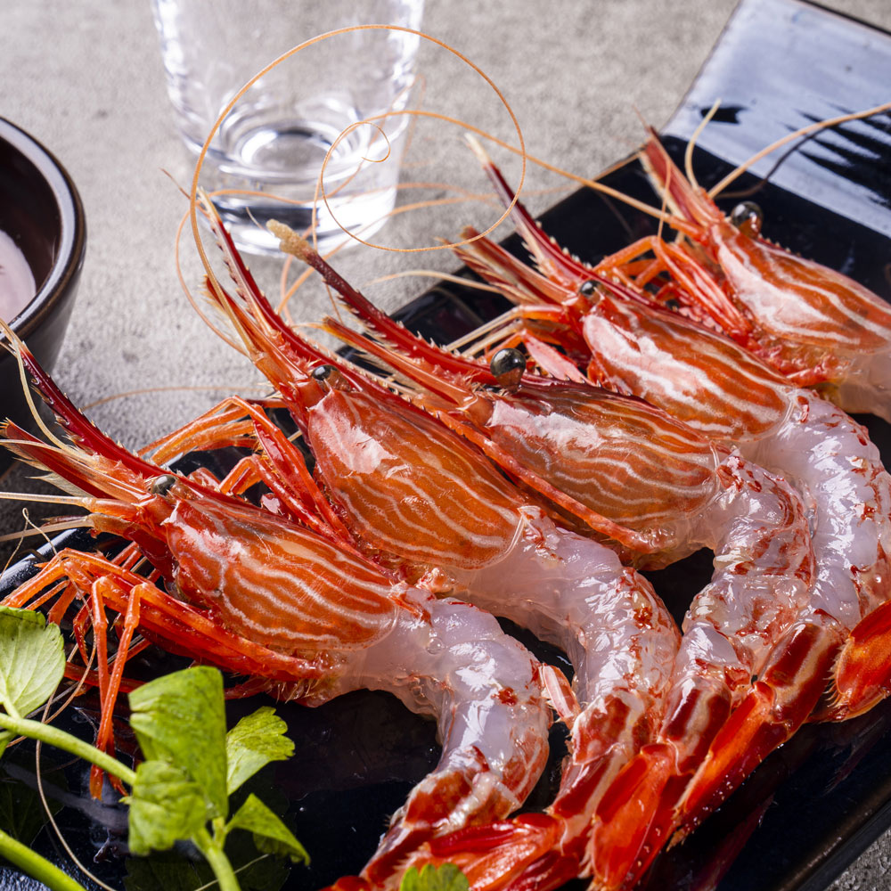 꽃새우 닭새우  도화새우 도하새우 독도새우 제철 활 생물 급냉 생새우 회 500g : 푸드랍