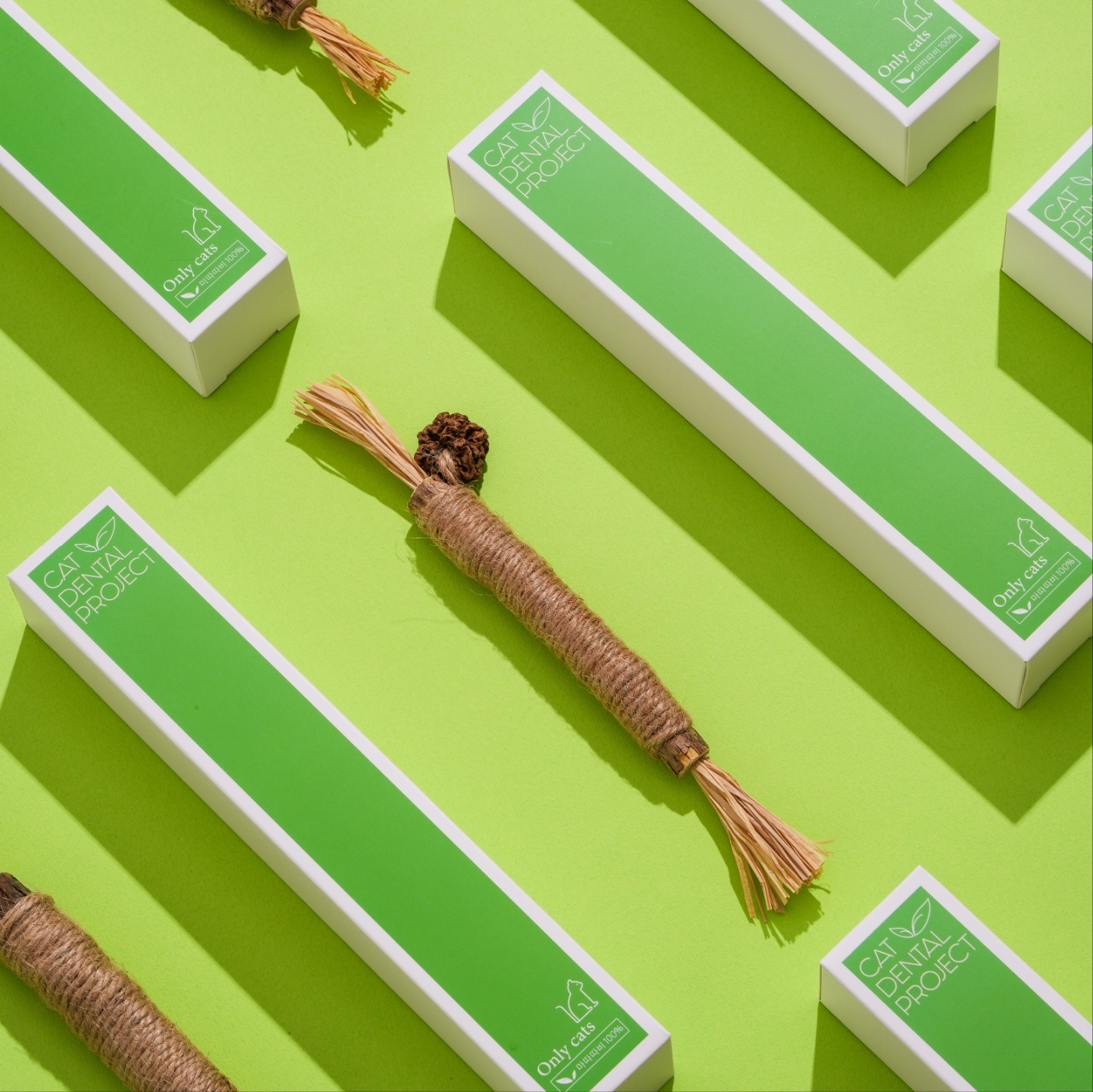 캣디피 플라그토이 CATDP  고양이 장남감 혼자 장난감 마따따비 아기고양이 이갈이 시기 입질