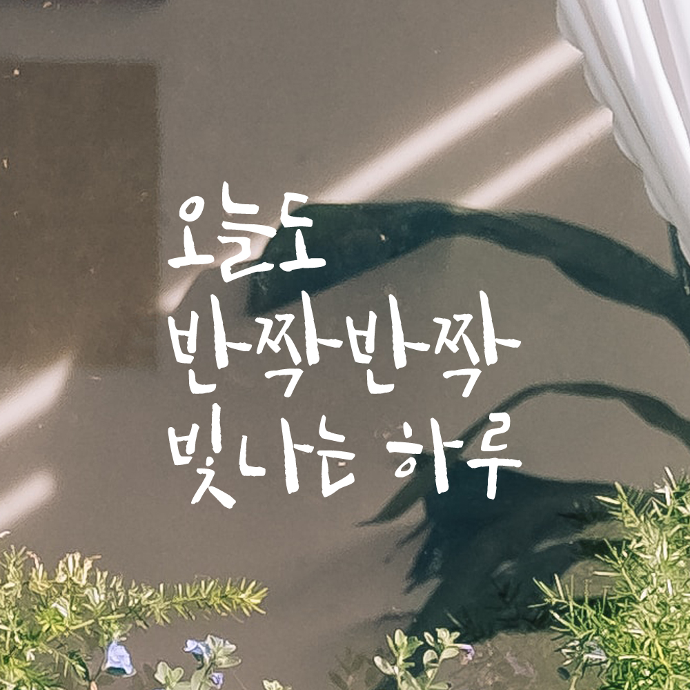 캘리그라피 레터링 스티커 오늘도 반짝반짝 빛나는 하루 검정 S - 상세 이미지 2