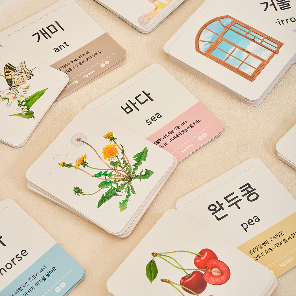 마이앤트 낱말카드 세이펜 호환 세상의낱말 아기 한글 영어 실사 세밀화 동물 플래시 이미지 4