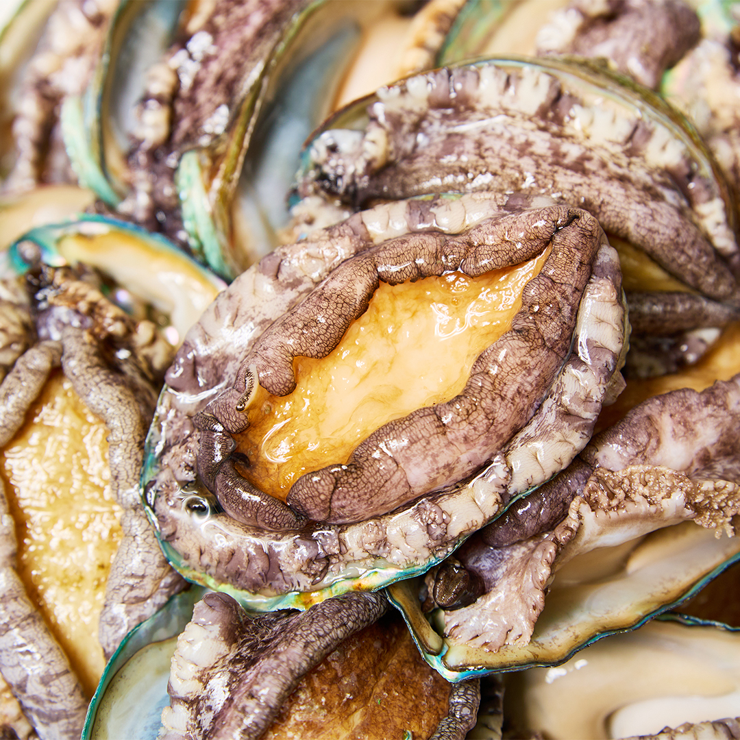 생미역 먹인 싱싱한 완도 활 전복