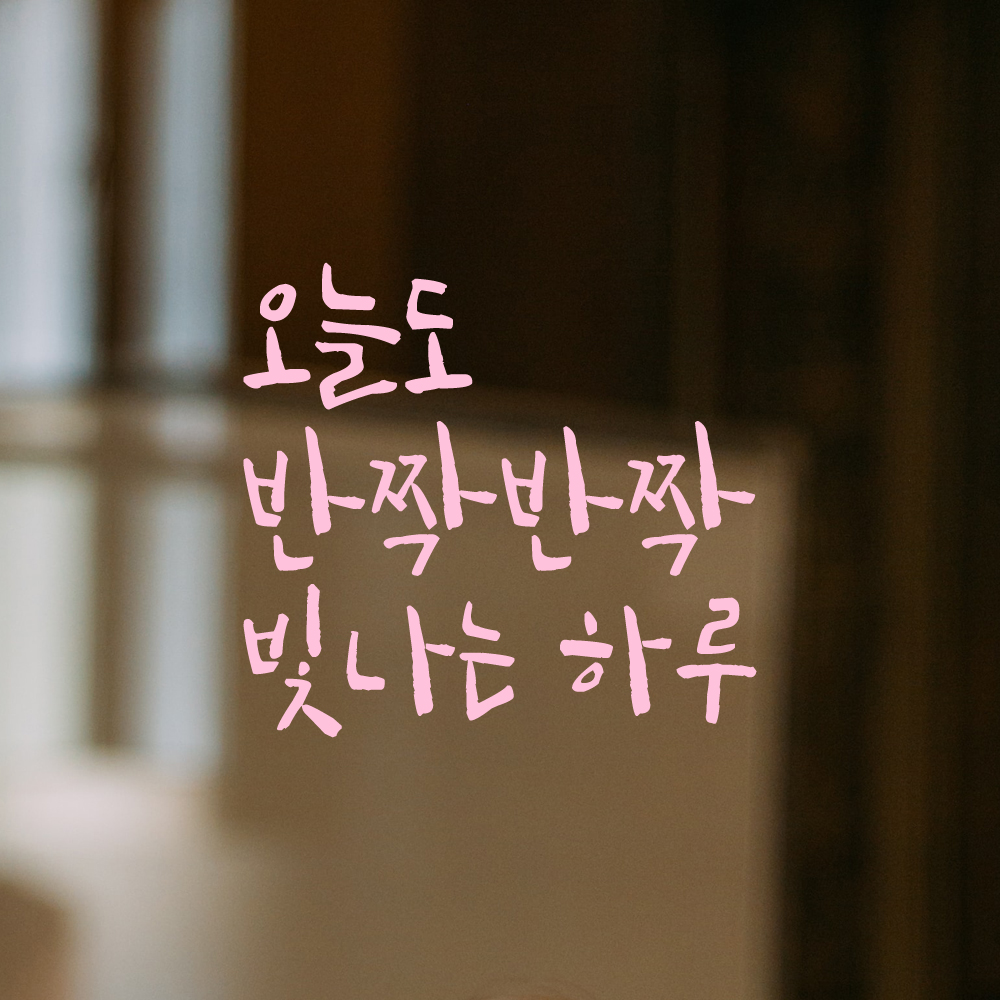 캘리그라피 레터링 스티커 오늘도 반짝반짝 빛나는 하루 검정 S - 상세 이미지 4