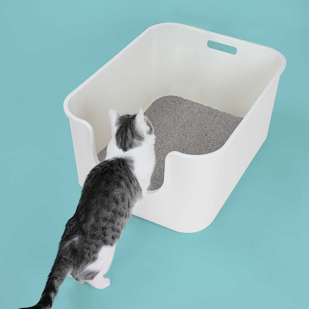 미유박스 울티메이트 벤토나이트 고양이모래 저먼지 와이오밍 6.3kg, 1개