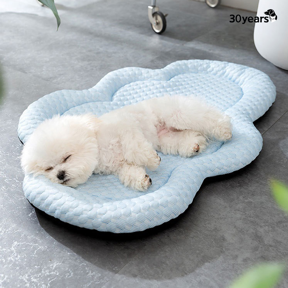 강아지쿨매트 고양이 쿨링 여름방석 냉매트 XS - 상세 이미지 5