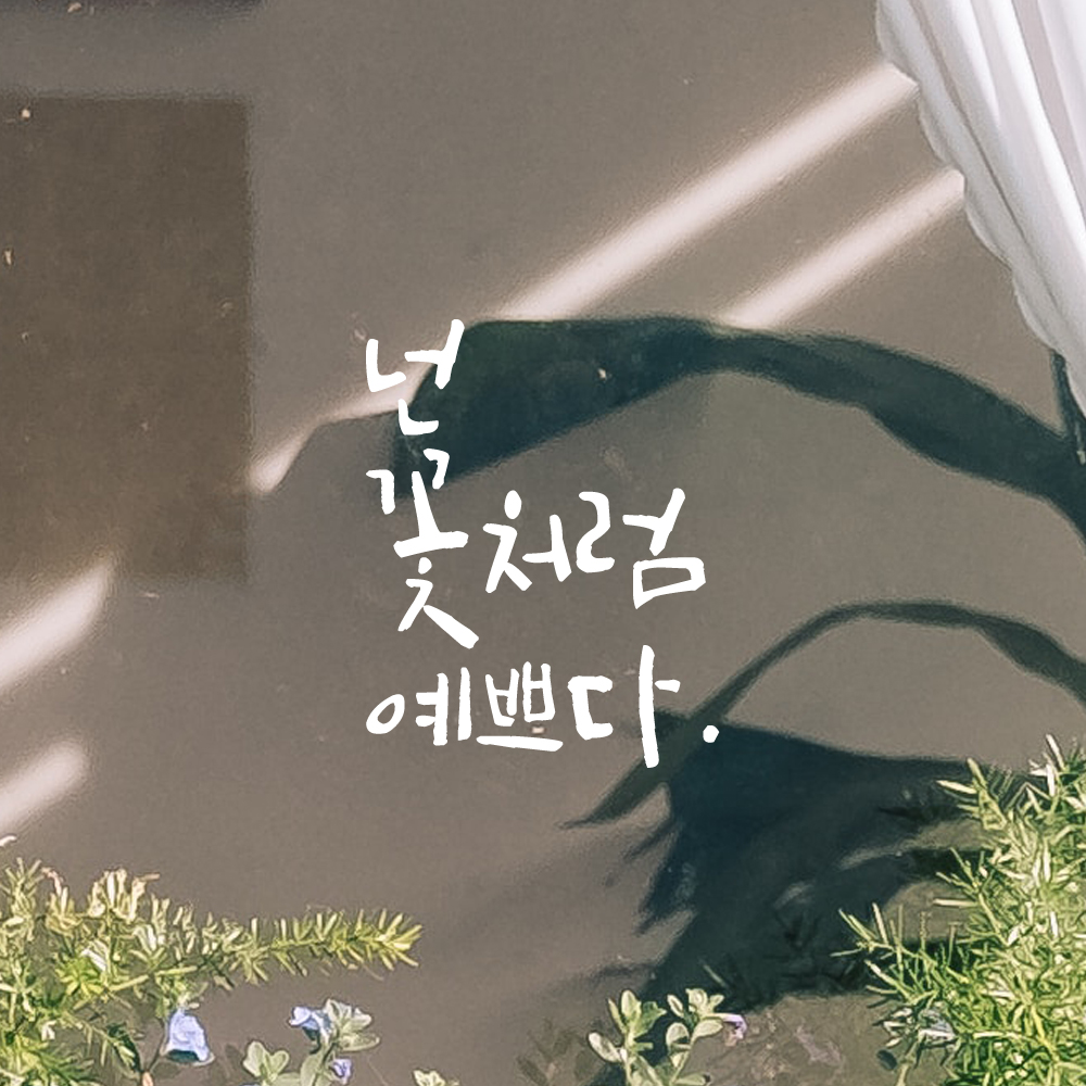 캘리그라피 레터링 스티커 넌 꽃처럼 예쁘다 LC-040S 검정 - 상세 이미지 2