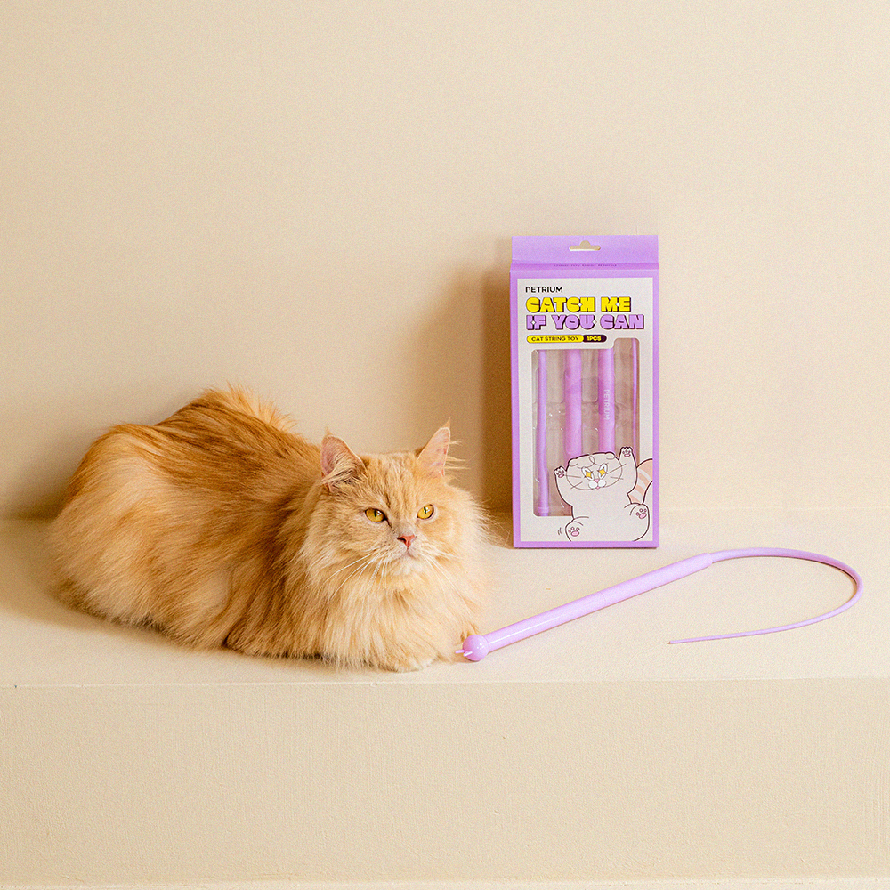 펫트리움 못잡겠쥐 고양이 낚시대  쥐꼬리 장난감