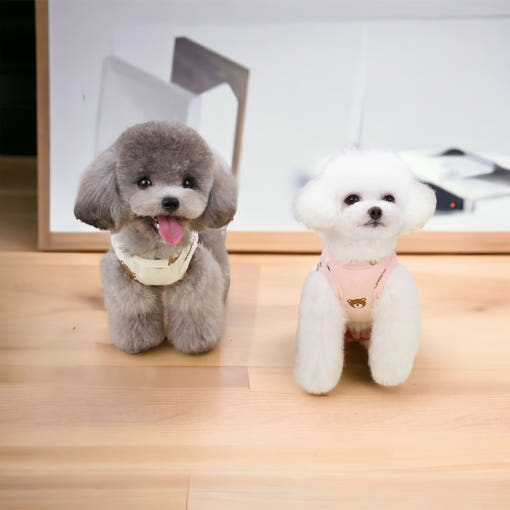 thumbnail-5