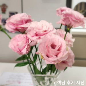 리시안셔스 생화 꽃정기구독 생화택배 양재꽃시장 솔직 후기 | 실사용자 리뷰 분석 - 상품 이미지 3