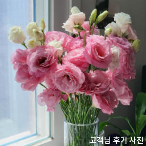 리시안셔스 생화 꽃정기구독 생화택배 양재꽃시장 솔직 후기 | 실사용자 리뷰 분석 - 상품 이미지 2