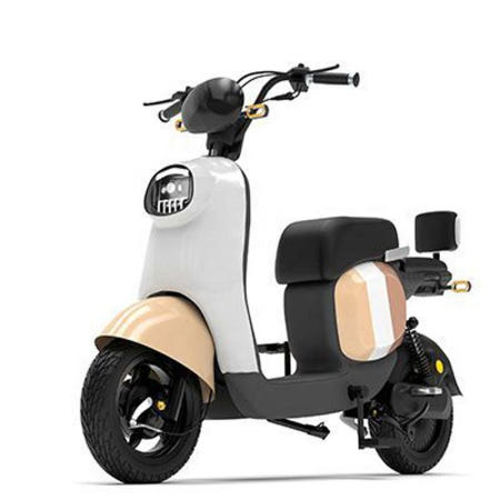 모토에코 협력사 [해외]FULIKE 출퇴근 전기 오토바이 전동 스쿠터 바이크 배달용 미니 이륜 48V 20ah 리튬배터리