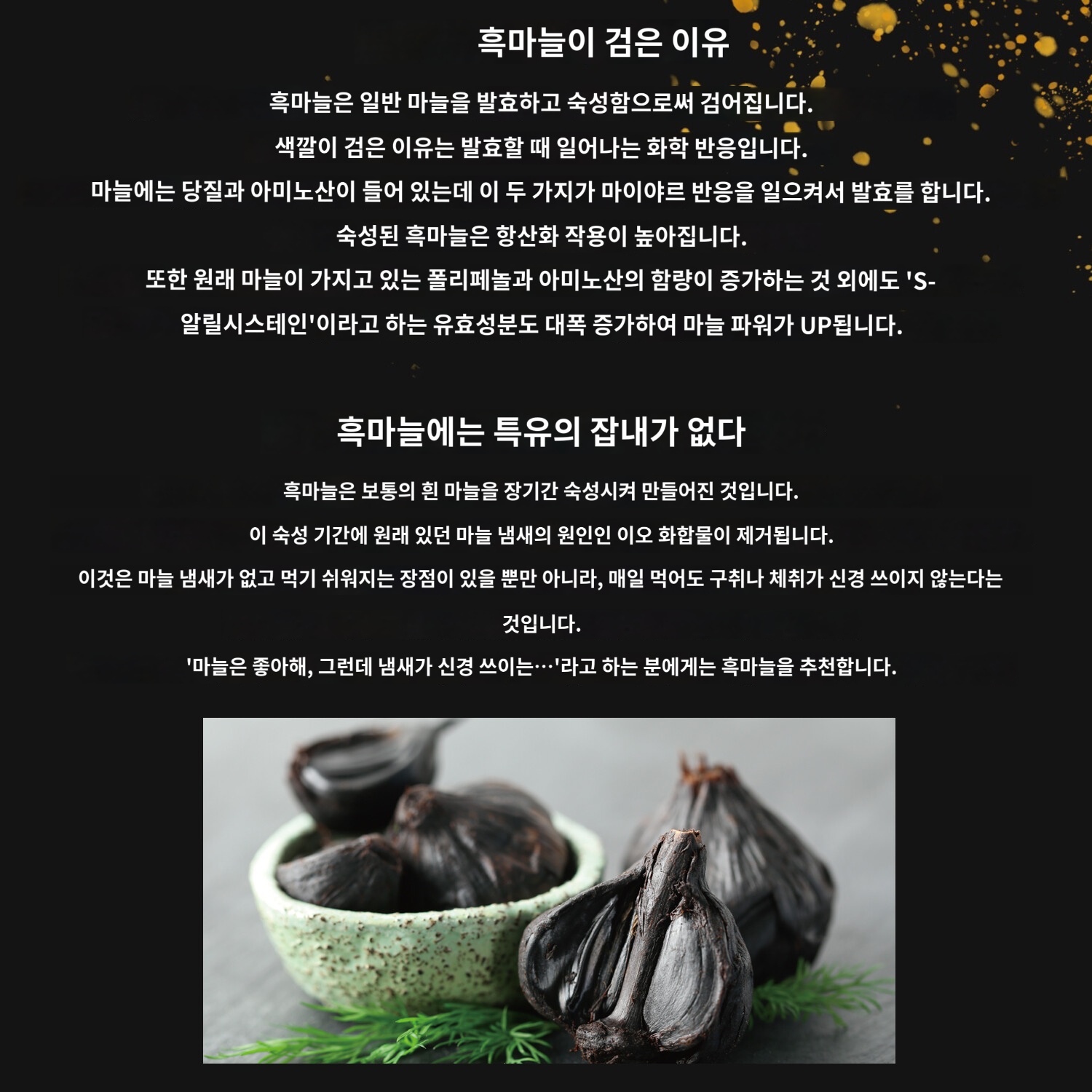 흑마늘발효기 RM-AZ1000H-BK 수제마늘 수제 건조기 발효