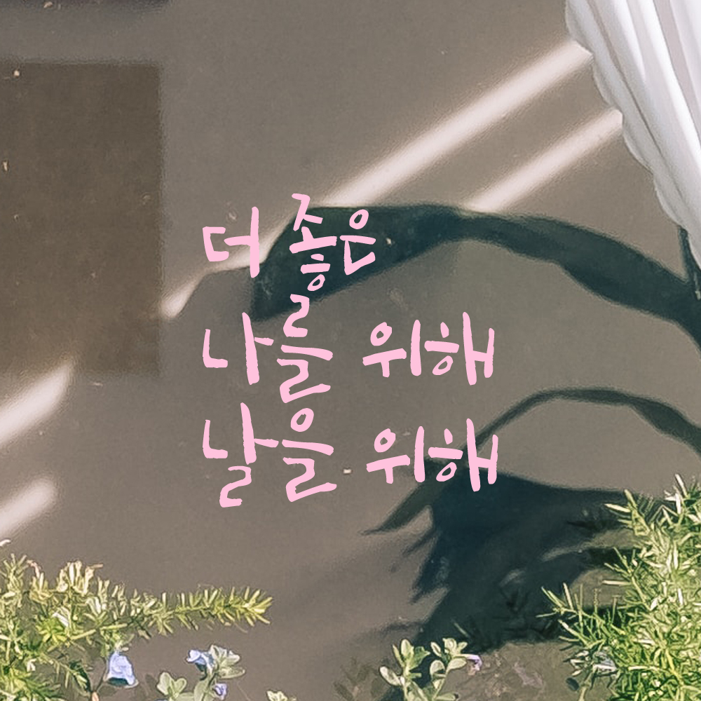 캘리그라피 레터링 스티커 더 좋은 나를 위해 날을 위해 LC-039S 검정 - 상세 이미지 4
