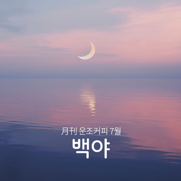 월간커피 2024/7월 백야 200g 원두 커피 - 메인 이미지
