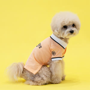 강아지 카라 티셔츠 실내복 강아지옷 올웨이즈 솔직 후기 | 실제 사용자 리뷰 총정리 - 상품 이미지 3