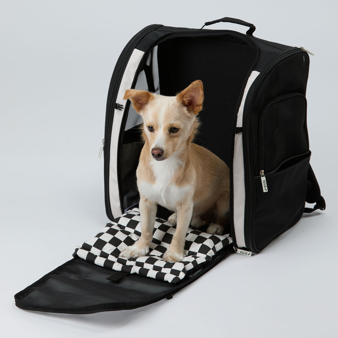 일로 지오백 강아지 백팩 기내용 반려견 이동가방 안전벨트 카시트 소형견 중형견 이동장