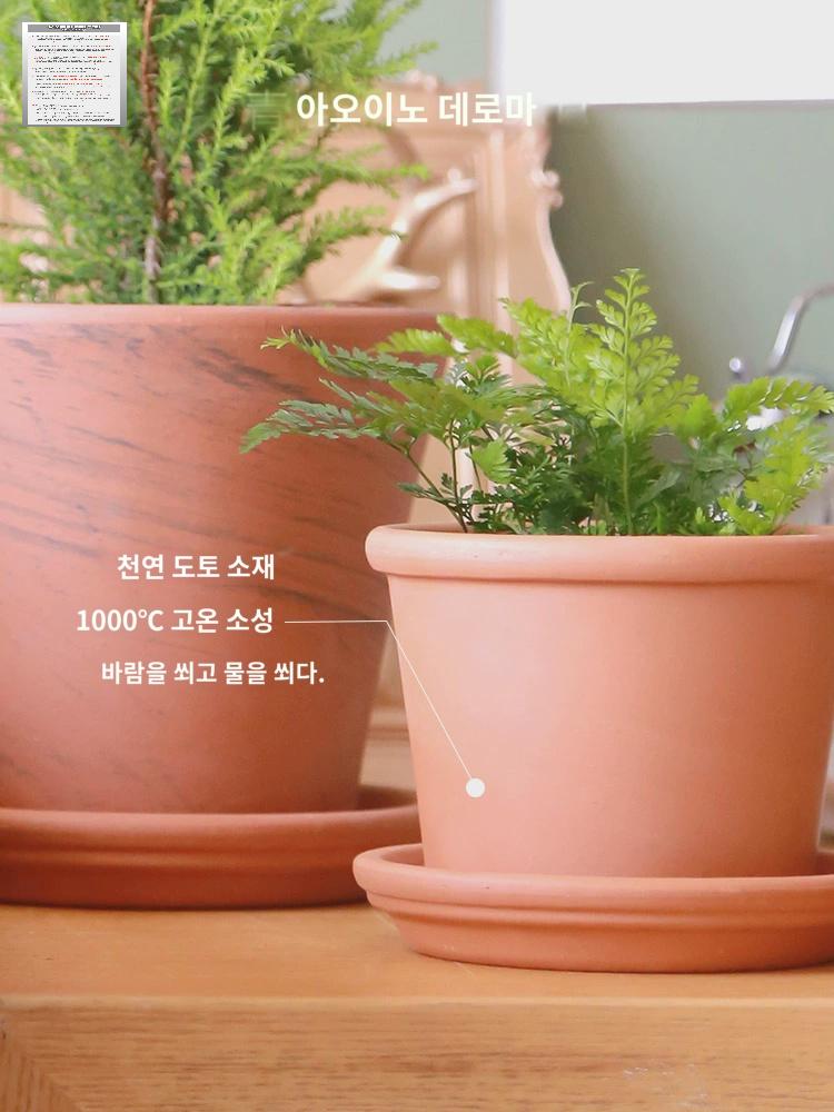 인테리어 토분 화분 테라코타 대형 이태리 토스카나 - 상세 이미지 2